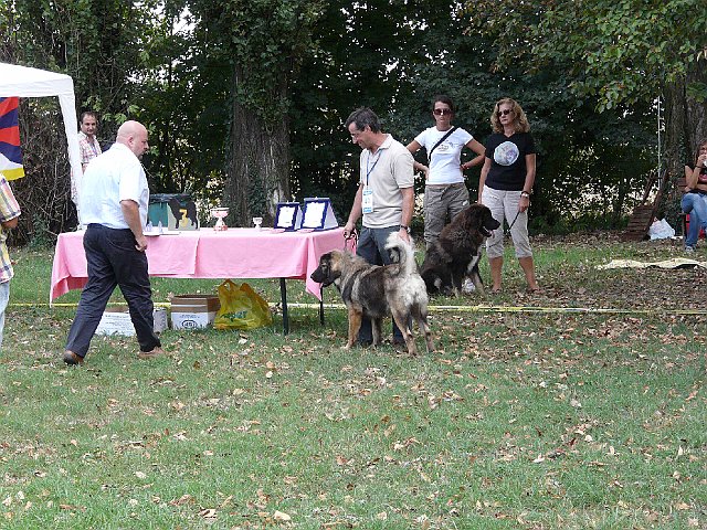 img 167.jpg